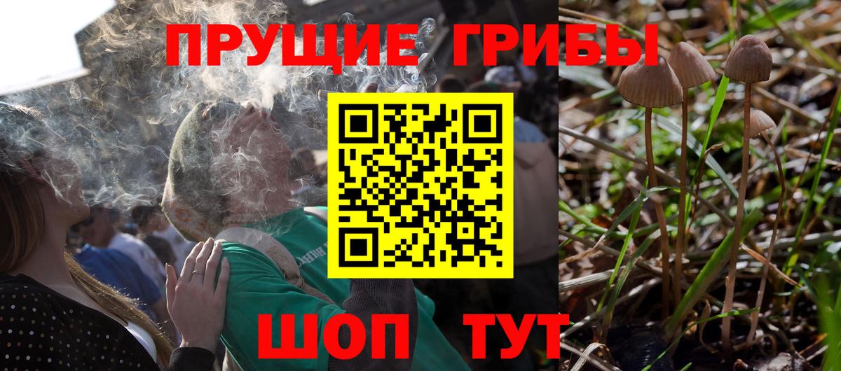 Псилоцибиновые грибы GOLDEN TEACHER  Вход с VPN  Ачхой-Мартан 