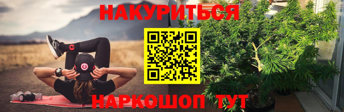 Шишки марихуана марихуана  Канабис семена  Вход с VPN  Ачхой-Мартан  Бошки Шишки SATIVA & INDICA  Конопля гибрид 